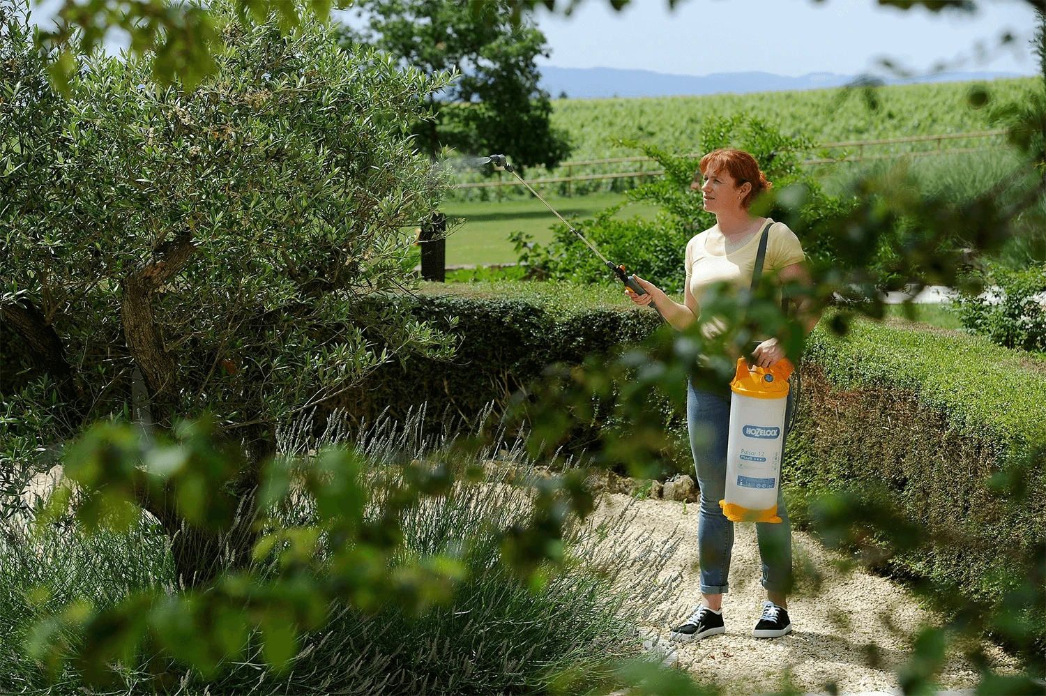 Hozelock Pulsar Plus 12L Pressure Sprayer 3 Hozelock Pulsar Plus 12L Pressure Sprayer