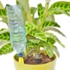 Iriso Watering Spike - Pack Of 4