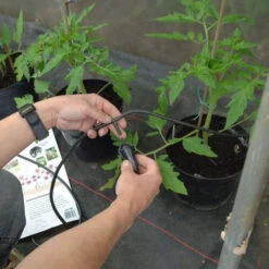 Iriso Watering Kit - 12 Plant Kit