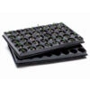 Jiffy Trays - Pack Of 5 With 200 - 42mm Blocks 2 Jiffy Trays - Pack Of 5 With 200 - 42mm Blocks -Growhaus Zone l image 85613 500x500 1