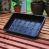 Economy Seed Trays - Pack Of 6 -Growhaus Zone l image 91524 500x500