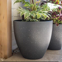 Kelkay Plant Avenue Stone Collection Lg Terrazzo Egg Pot In Black