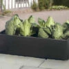Mini Raised Bed - Special Offer Pack Of 2 -Growhaus Zone l mini growbed 3ft x 20