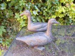 Pair Of Duck Garden Ornaments In Cast Aluminium With Antique Bronze Finish 10 Pair Of Duck Garden Ornaments In Cast Aluminium With Antique Bronze Finish -Growhaus Zone l pair of ducks 2