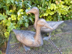 Pair Of Duck Garden Ornaments In Cast Aluminium With Antique Bronze Finish 12 Pair Of Duck Garden Ornaments In Cast Aluminium With Antique Bronze Finish -Growhaus Zone l pair of ducks 4