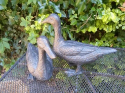 Pair Of Duck Garden Ornaments In Cast Aluminium With Antique Bronze Finish 13 Pair Of Duck Garden Ornaments In Cast Aluminium With Antique Bronze Finish -Growhaus Zone l pair of ducks 5