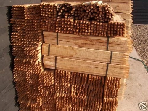 Rainbow Tree Defenders With Stakes - 60cm Tall - X10 6 Rainbow Tree Defenders With Stakes - 60cm Tall - X10 - Image 4