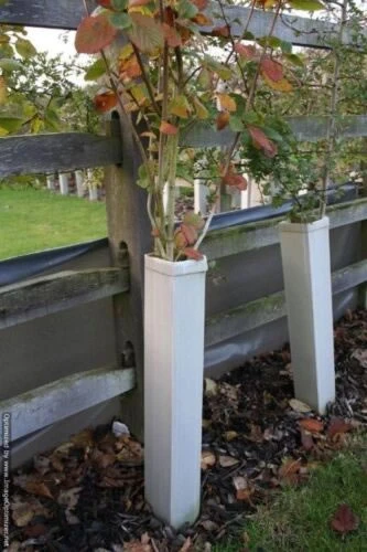 Rainbow Tree Defenders With Stakes - 75cm Tall - X10 4 Rainbow Tree Defenders With Stakes - 75cm Tall - X10 - Image 2