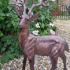 Large Standing Stag Aluminium Ornament - 97cm Tall 2 Large Standing Stag Aluminium Ornament - 97cm Tall -Growhaus Zone l stag97cm