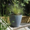 Stewart 40cm Low Round Beton Planter In Dark Grey 1 Stewart 40cm Low Round Beton Planter In Dark Grey -Growhaus Zone l stewart beton round low