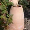 60cm Terracotta Rhubarb Forcer / Clay Cloche -Growhaus Zone large rhubarb forcer