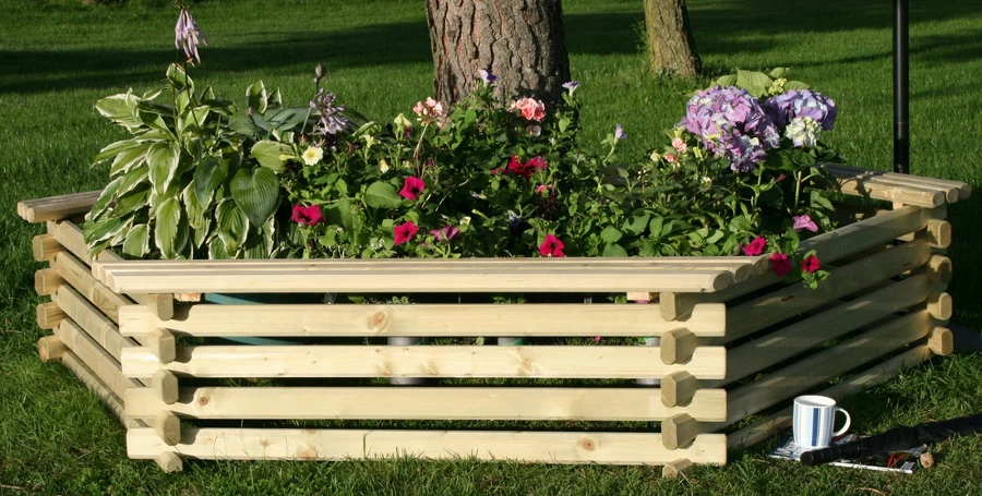 Giant Softwood Tree Seat 3 Giant Softwood Tree Seat