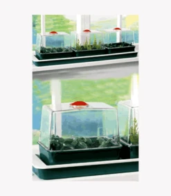 Garland Triple Top Windowsill Propagator
